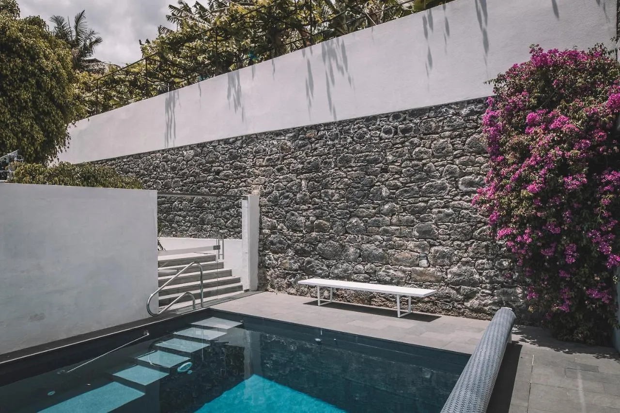 Torrinha Garten Apartment Funchal Portugália